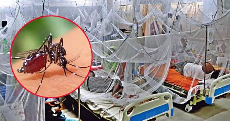 ডেঙ্গুতে আরও একজনের মৃত্যু, হাসপাতালে ভর্তি ১ হাজার ৩০০ জন