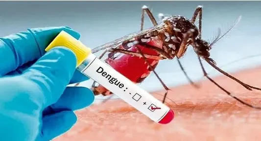 ডেঙ্গুতে ৩ জনের মৃত্যু, হাসপাতালে ভর্তি ১ হাজার ৪৩২