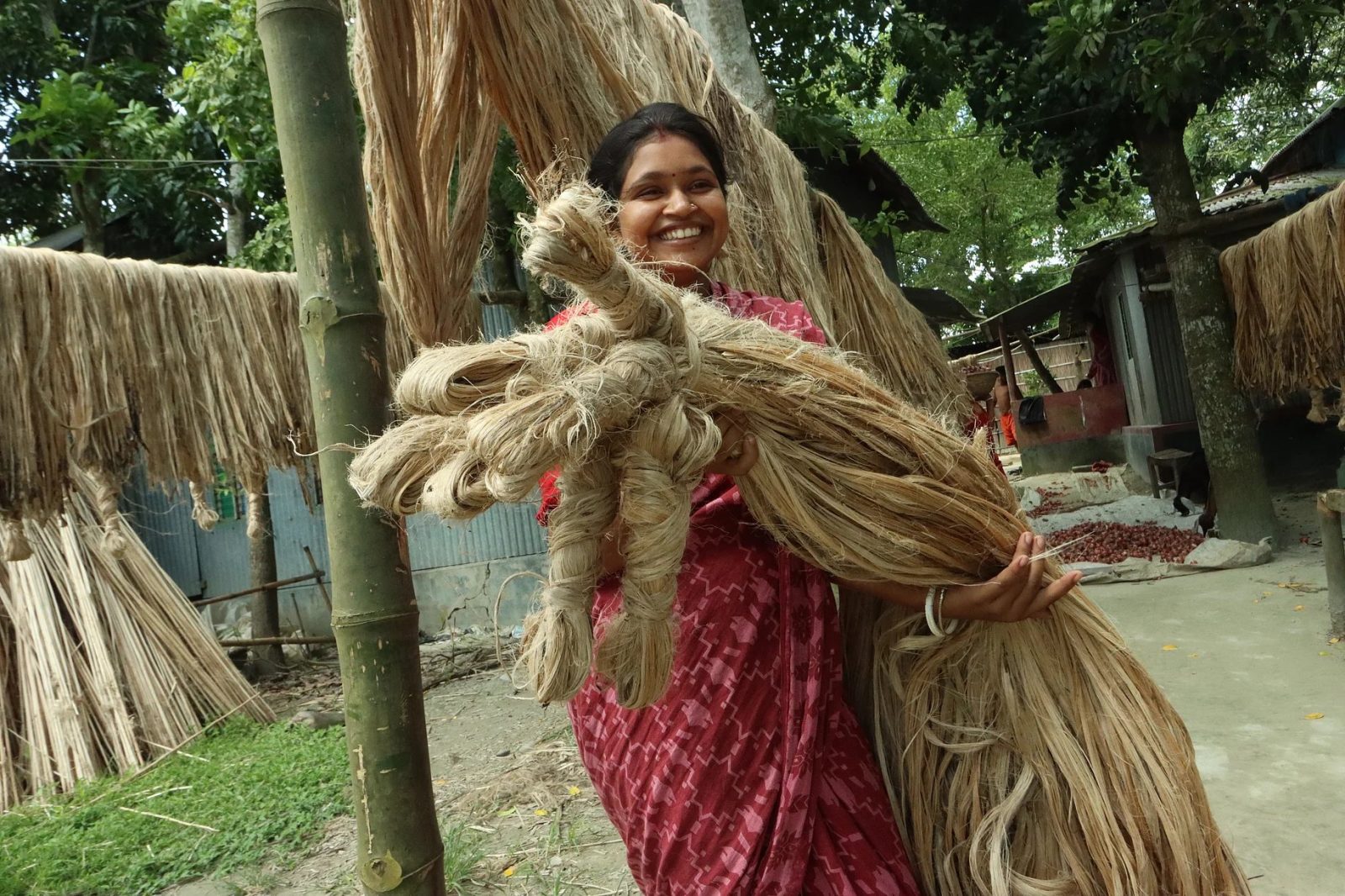 ফরিদপুরে পাটের সোনালি হাসি, ফলন-দামে খুশি কৃষক