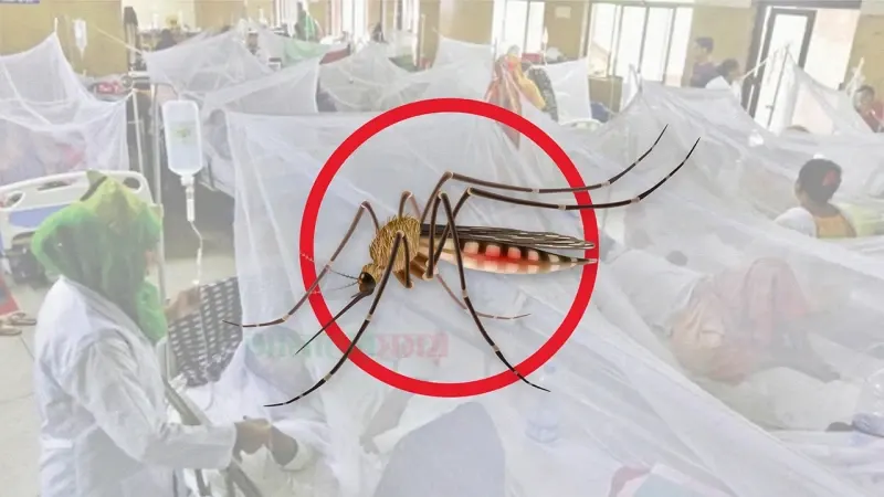 ডেঙ্গুতে আরও ৮ জনের মৃত্যু, হাসপাতালে ভর্তি ২ হাজার ৩৬