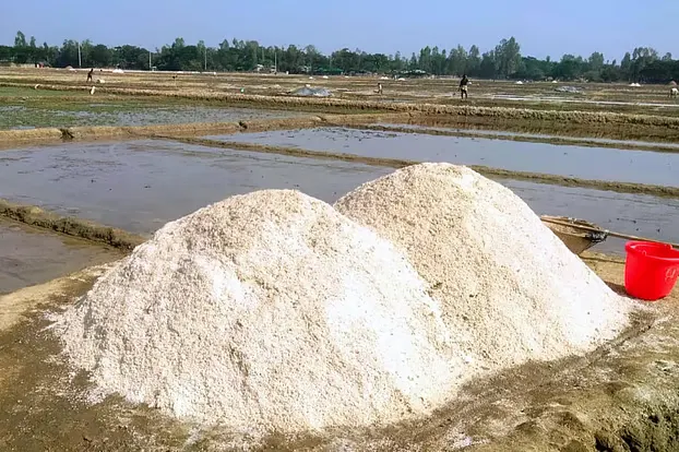 লবণের মৌসুম শুরুর ঠিক আগে আমদানির অনুমতি, ক্ষুব্ধ চাষিরা