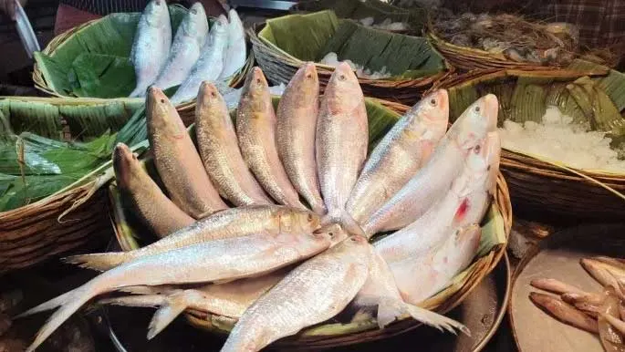 ভারত থেকে ইলিশ আমদানি বন্ধ করল বাংলাদেশ