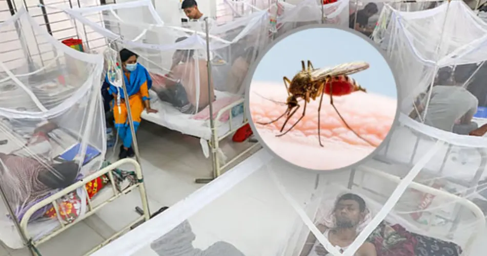 ডেঙ্গুতে আরও ৬ জনের মৃত্যু, হাসপাতালে ভর্তি ১৬০৮