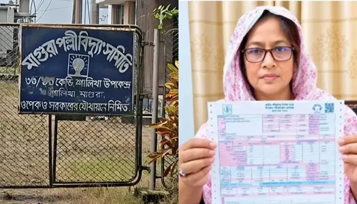 ২৩৫ ইউনিটের বিল ৫০৬ কোটি টাকা, শোকজ ৪ কর্মকর্তা