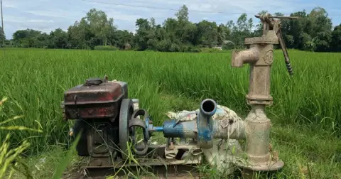 তেলের দাম বাড়তেই ধান চাষে বাড়ল খরচ, দুশ্চিন্তায় হিলির কৃষক