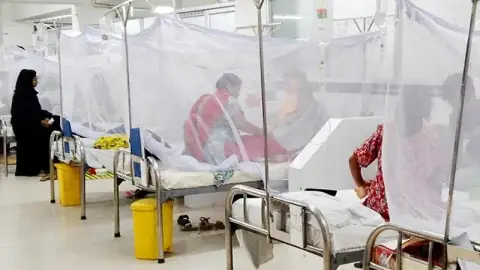 ডেঙ্গুতে আরও ৬ জনের মৃত্যু, হাসপাতালে ভর্তি ১ হাজার ৯৪২