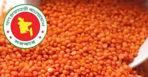 টিসিবির জন্য ৭৬ টাকা ৮৯ পয়সা কেজিতে ১০ হাজার টন মসুর ডাল ক্রয়ের অনুমোদন