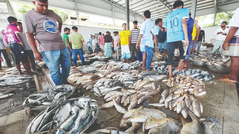 মাত্র ৩ ঘণ্টার মাছের বাজার, প্রতিদিন লেনদেন প্রায় ৫ কোটি টাকা