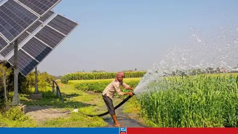 ডিজেলের চিন্তা শেষ, সৌরশক্তিতে বদলে যাচ্ছে বরেন্দ্রের কৃষি