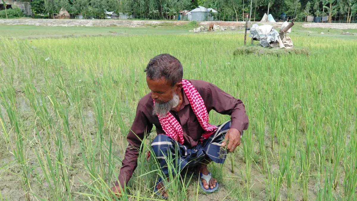 সার নিতে আর থাকবে না অনিয়ম, কুড়িগ্রামে কৃষকের হাতে বিশেষ কার্ড