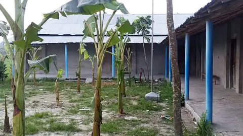 পুত্রবধূকে চাকরি না দেওয়ায় স্কুলে তালা, মাঠে কলাগাছ লাগালেন দাতা সদস্য