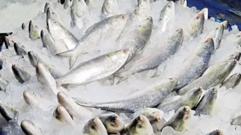 ভারতে ইলিশ রপ্তানি বন্ধে , সরকারকে আইনি নোটিশ