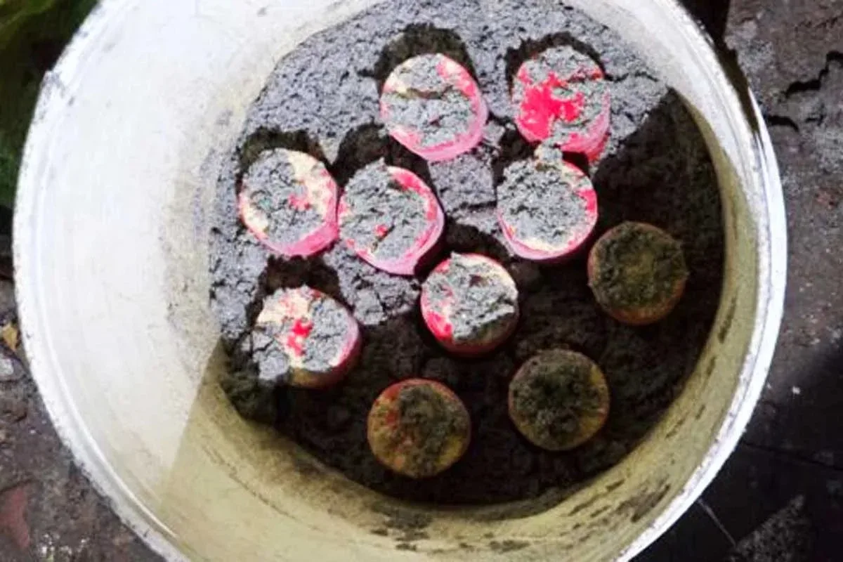 যাত্রাবাড়ীতে পরিত্যক্ত ব্যাগ থেকে ১০ ককটেল উদ্ধার
