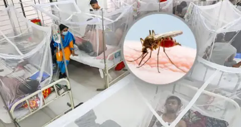 ডেঙ্গুতে আরও ৬ জনের মৃত্যু, হাসপাতালে ভর্তি ১৬০৮