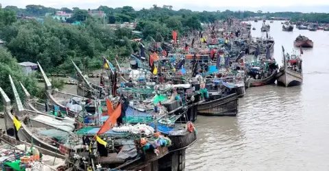 সাগরে মাছের আকাল, তার ওপর তেলের দাম—দিশেহারা জেলেপাড়া