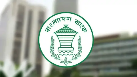 লাইসেন্স ছাড়াই পেমেন্ট সেবা, ২২ প্ল্যাটফর্মে লেনদেনে সতর্কতা