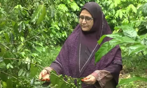 স্বামীকে হারিয়ে থামেননি খাদিজা, পতিত জমিতে ফলালেন স্বপ্ন