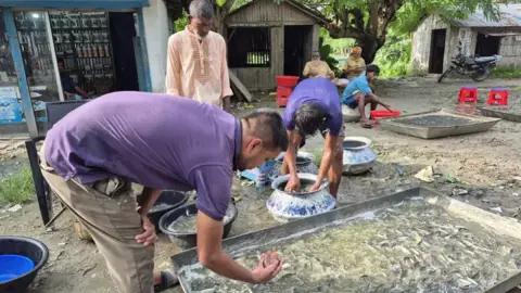 ছোট্ট রেণু-পোনায় ৬ হাজার কোটি টাকার বাণিজ্য! কোথায় এই বিশাল বাজার?