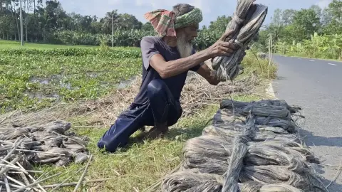 এক যুগ পর পাটের সুদিন, নওগাঁর হাটে হাসছেন চাষিরা