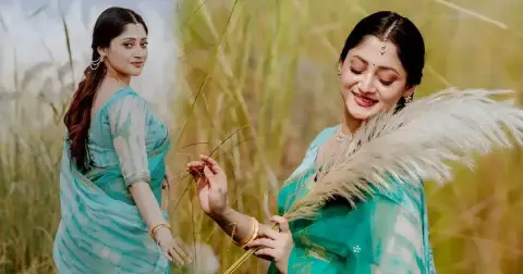 কাশবনে পূজা চেরী, শরতের সৌন্দর্যে মুগ্ধ ভক্তরা