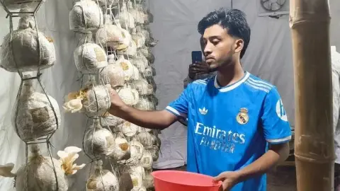 ৫০ হাজার টাকায় মাশরুম চাষ, তিন বন্ধুর স্বপ্নপূরণের লড়াই