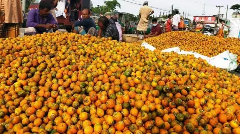 একটি ফলেই বদলাচ্ছে গ্রামীণ অর্থনীতি, সুপারিতে ৭১০ কোটির স্বপ্ন
