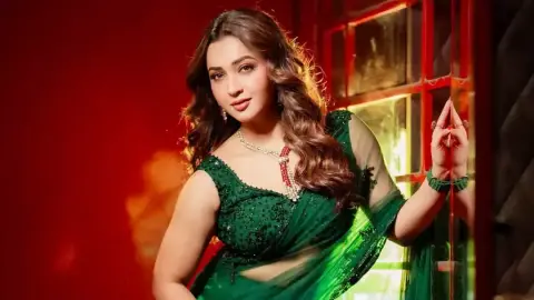 পুজোর কয়েকটা দিনের প্রেম দারুণ লাগত : কৌশানি