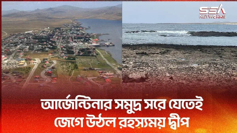 এক রাতে উধাও সাগরের পানি! সমুদ্রের তলদেশ থেকে ভেসে উঠল রহস্যময় দ্বীপ! Sea Networks